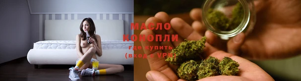 дмт Алексин