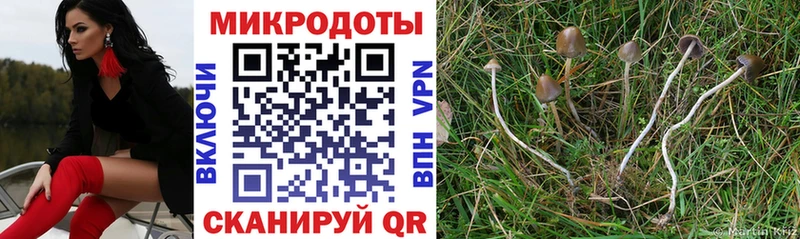 Галлюциногенные грибы мицелий  кракен онион  Кулебаки 